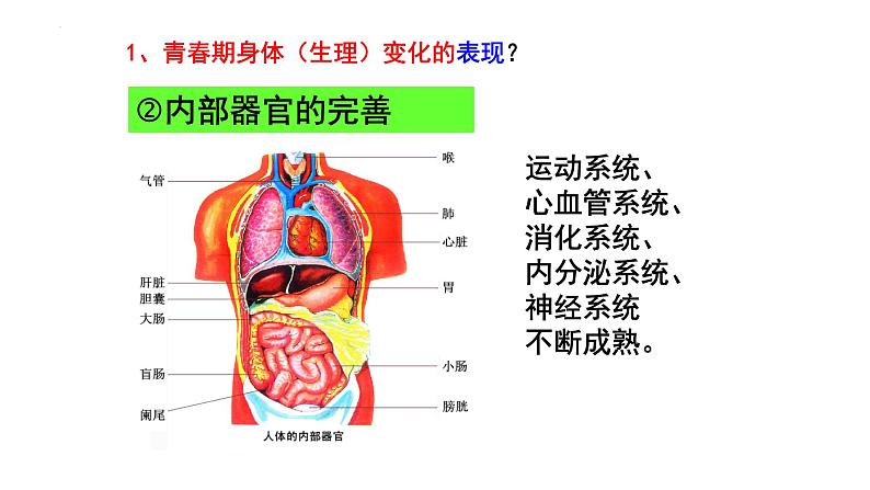 1.1+悄悄变化的我+课件-2023-2024学年统编版道德与法治七年级下册07