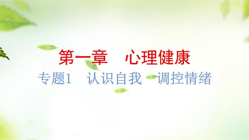 2024年中考道德与法治总复习（广东专用）：专题1  认识自我  调控情绪  课件第2页