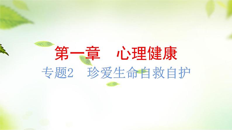 2024年中考道德与法治总复习（广东专用）：专题2  珍爱生命  自救自护  课件第2页