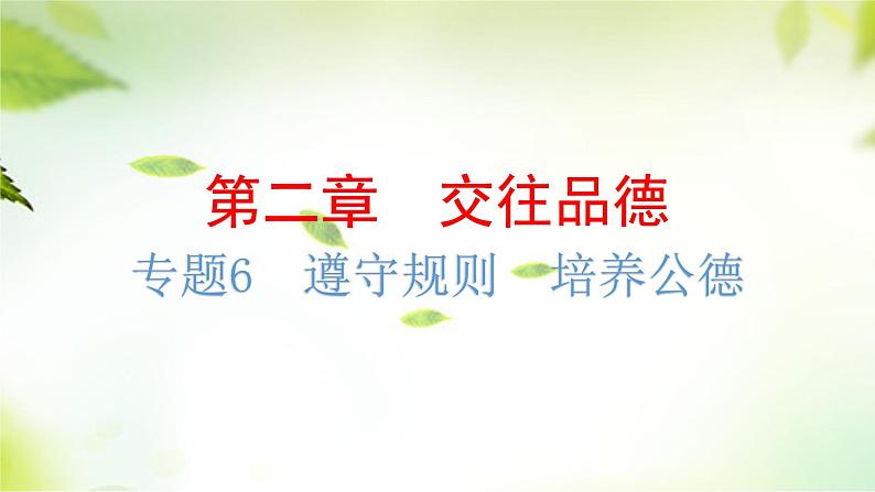 2024年中考道德与法治总复习（广东专用）：专题6  遵守规则  培养公德    课件02