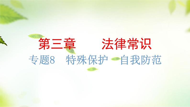 2024年中考道德与法治总复习（广东专用）：专题8  特殊保护  自我防范  课件第2页