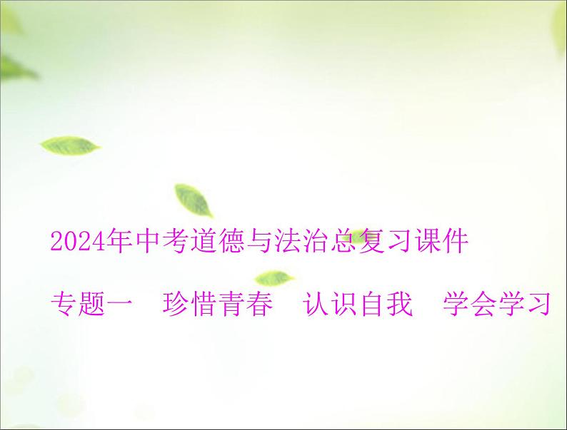 2024年中考道德与法治总复习课件专题一 珍惜青春 认识自我 学会学习01