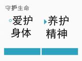 部编版（五四制）道德与法治六年级全一册 9.1  守护生命 课件