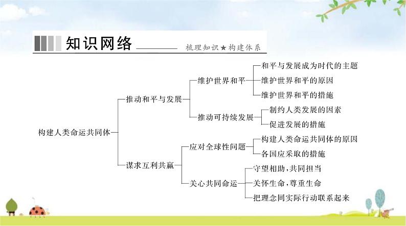 人教版九年级道德与法治下册第一单元第二课第一课时推动和平与发展课件第2页