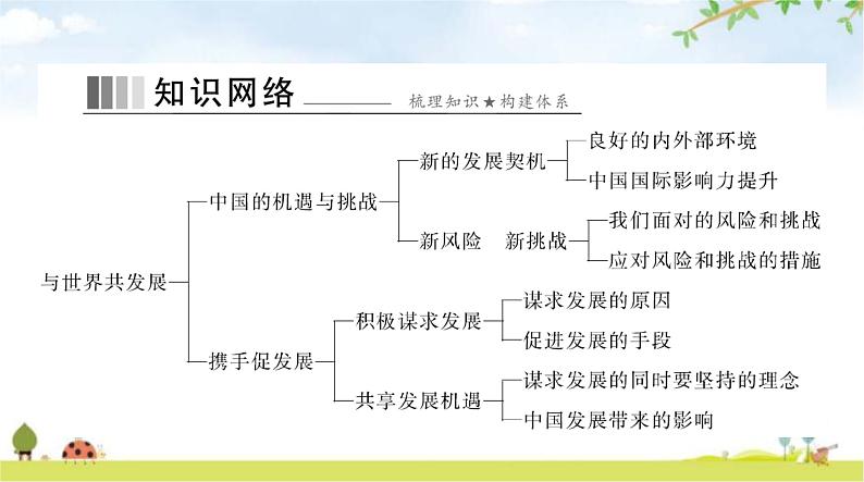 人教版九年级道德与法治下册第二单元第四课第一课时中国的机遇与挑战课件第2页