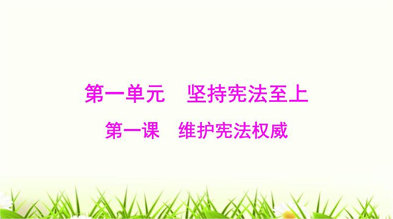 人教版八年级道德与法治下册第一单元第一课第1课时党的主张和人民意志的统一课件01