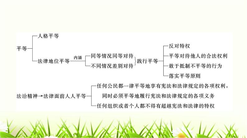 人教版八年级道德与法治下册第四单元第七课第一课时自由平等的真谛课件第3页