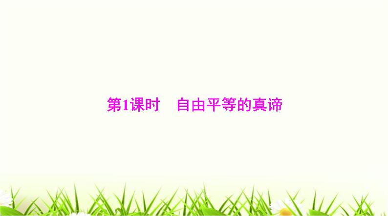 人教版八年级道德与法治下册第四单元第七课第一课时自由平等的真谛课件第4页