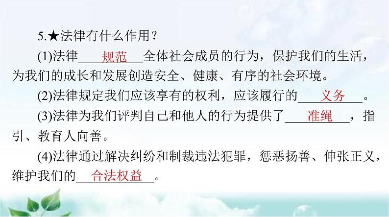 人教版七年级道德与法治下册第四单元第九课第二课时法律保障生活课件第5页