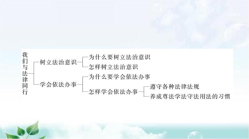 人教版七年级道德与法治下册第四单元第十课第一课时法律为我们护航课件第3页