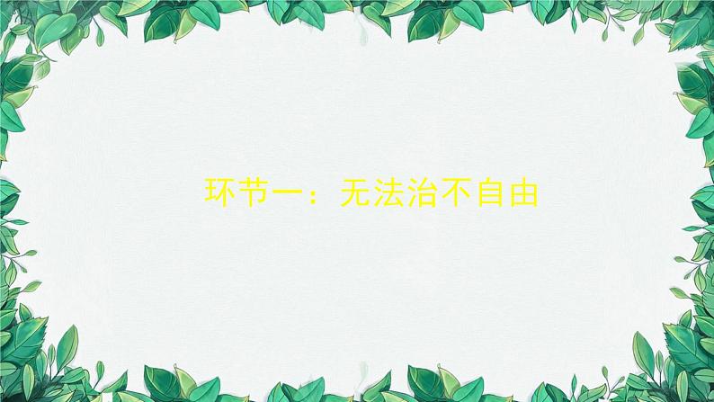 部编版道德与法治八年级下册 自由平等的真谛课件02