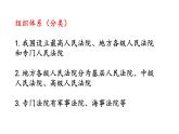 6.5+国家司法机关+课件-2023-2024学年统编版道德与法治八年级下册