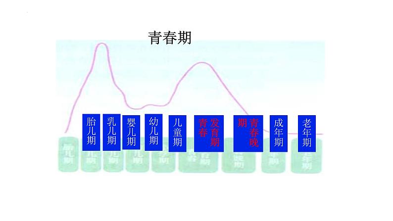 1.1+悄悄变化的我+课件-2023-2024学年统编版道德与法治七年级下册 (4)第5页