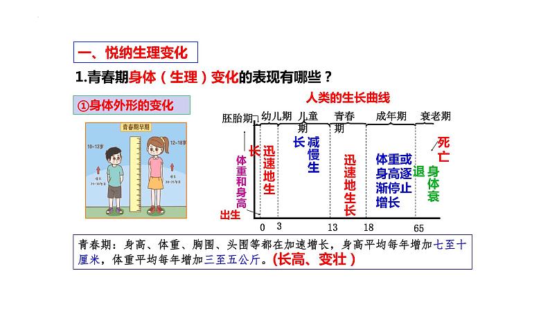 1.1+悄悄变化的我+课件-2023-2024学年统编版道德与法治七年级下册 (4)第7页