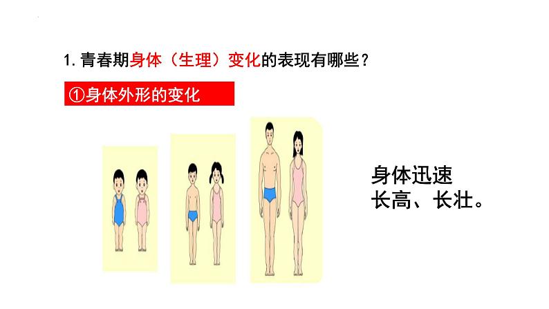 1.1+悄悄变化的我+课件-2023-2024学年统编版道德与法治七年级下册 (2)第7页