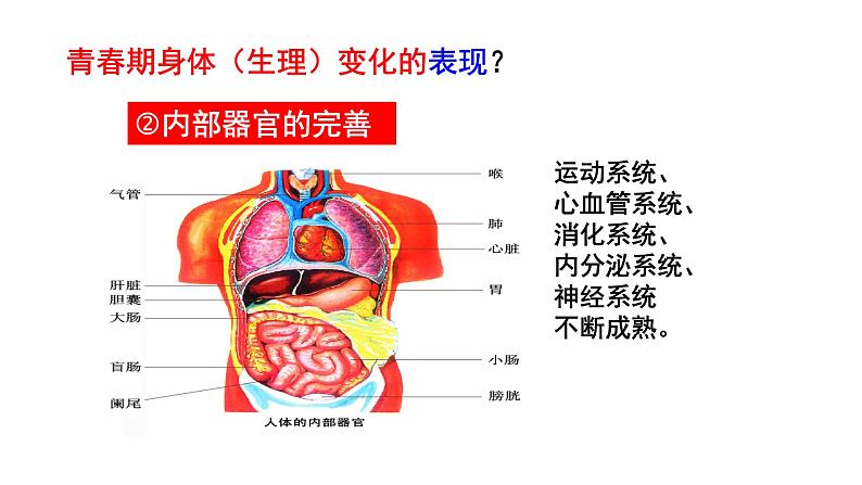 1.1+悄悄变化的我+课件-2023-2024学年统编版道德与法治七年级下册 (2)第8页