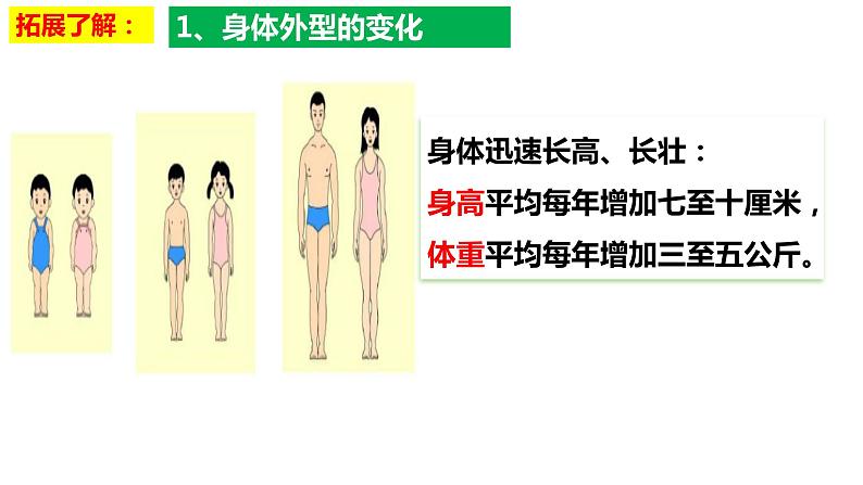 1.1+悄悄变化的我+课件-2023-2024学年统编版道德与法治七年级下册 (2)第5页