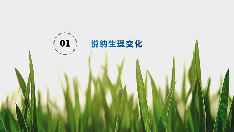 1.1 悄悄变化的我   课件-2023-2024学年统编版道德与法治七年级下册 (5)第5页