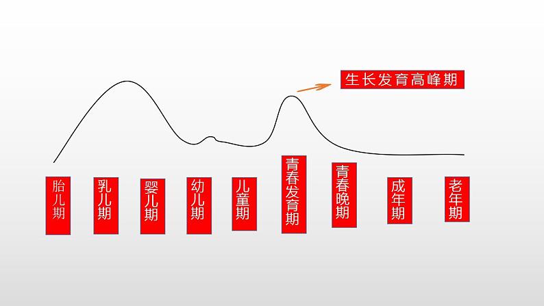 1.1 悄悄变化的我   课件-2023-2024学年统编版道德与法治七年级下册 (5)第8页