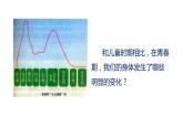 1.1 悄悄变化的我 课件-2023-2024学年统编版道德与法治七年级下册 (4)