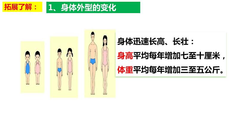 1.1 悄悄变化的我 课件-2023-2024学年统编版道德与法治七年级下册 (4)第7页