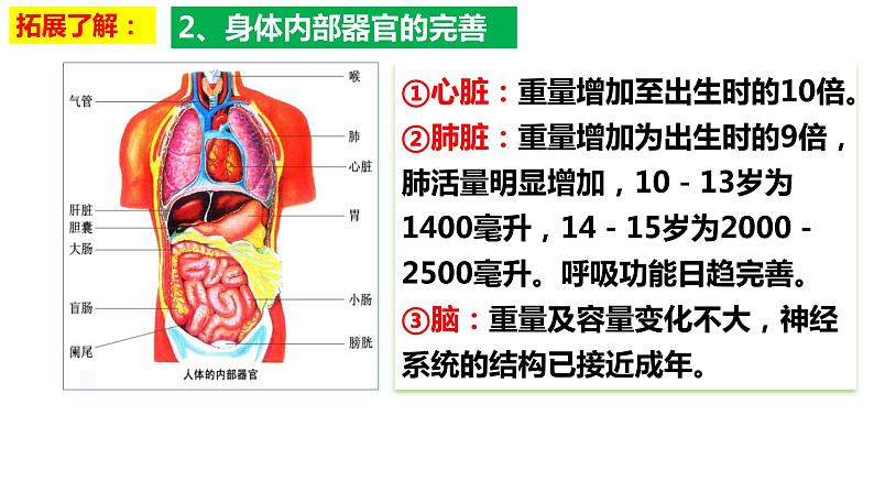 1.1 悄悄变化的我 课件-2023-2024学年统编版道德与法治七年级下册 (4)第8页