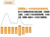 1.1 悄悄变化的我 课件-2023-2024学年统编版道德与法治七年级下册 (5)