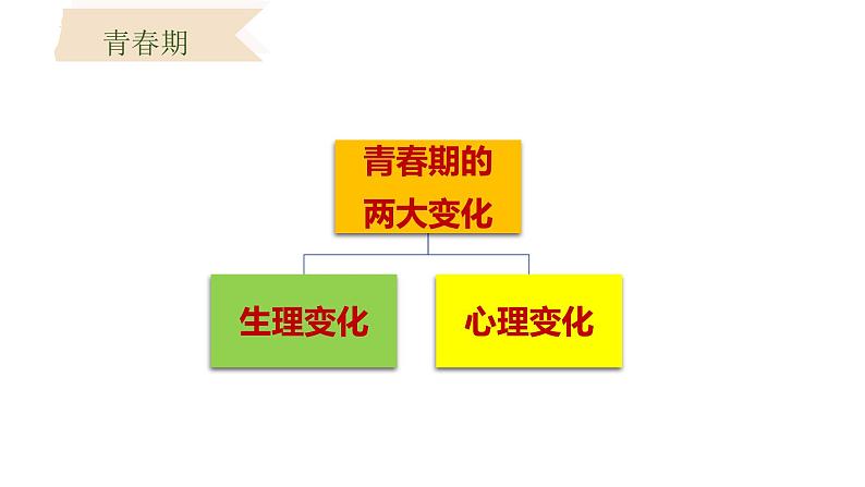 1.1 悄悄变化的我 课件-2023-2024学年统编版道德与法治七年级下册 (5)第6页