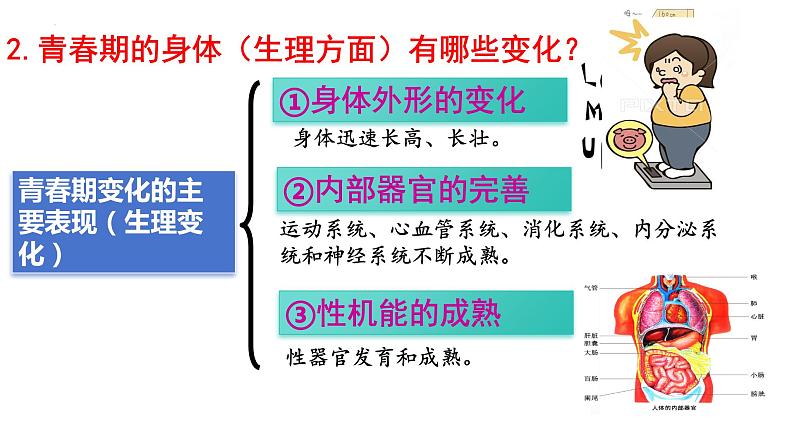 1.1+悄悄变化的我+课件-2023-2024学年统编版道德与法治七年级下册第7页