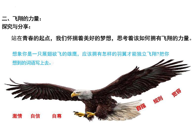 3.1+青春飞扬+课件2023-2024学年统编版道德与法治七年级下册 (2)第6页