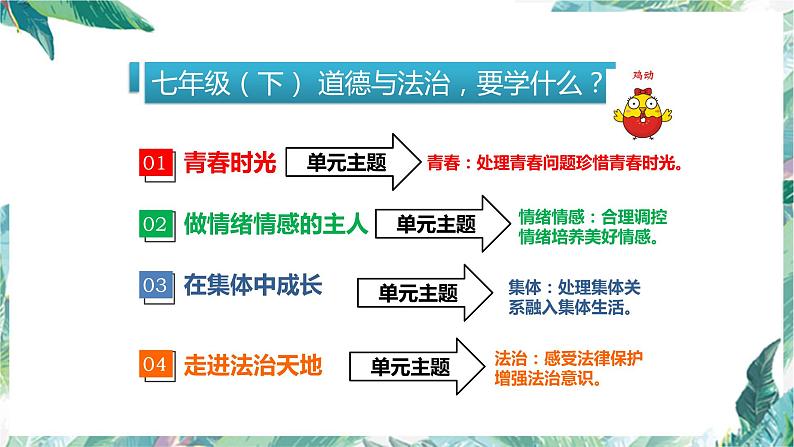 1.1 悄悄变化的我   课件   2023-2024学年七年级道德与法治下册 （统编版）01