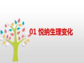 1.1 悄悄变化的我  课件   2023-2024学年七年级道德与法治下册 （统编版）