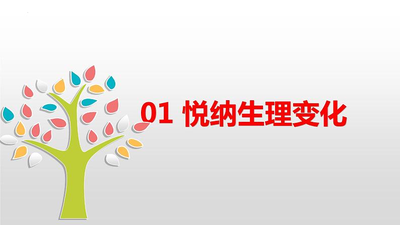 1.1 悄悄变化的我  课件   2023-2024学年七年级道德与法治下册 （统编版）第5页