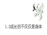 1.2+成长的不仅仅是身体+课件-2023-2024学年统编版道德与法治七年级下册