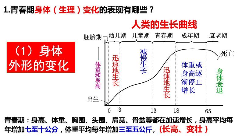 1.1+悄悄变化的我+课件-2023-2024学年统编版道德与法治七年级下册 (3)第7页