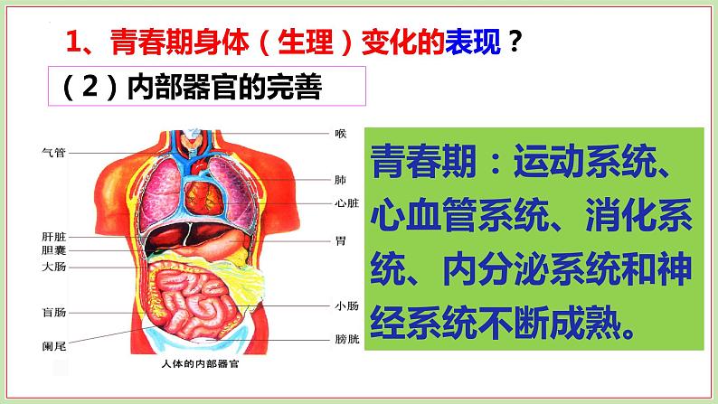 1.1+悄悄变化的我+课件-2023-2024学年统编版道德与法治七年级下册 (3)第8页