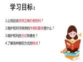 3.2依法行使权利（   课件 -2023-2024学年八年级道德与法治下册 （统编版）