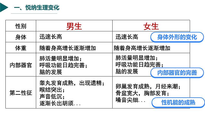 1.1悄悄变化的我-  课件 -2023-2024学年七年级道德与法治下册 （统编版）08