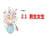 2.1+男生女生+课件-2023-2024学年统编版道德与法治七年级下册 (3)