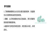 2.1+男生女生+课件-2023-2024学年统编版道德与法治七年级下册 (3)