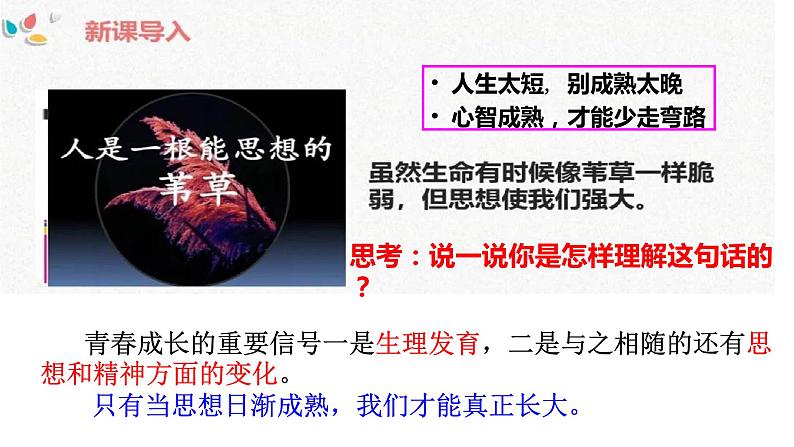 1.2+成长的不仅仅是身体+课件-2023-2024学年统编版道德与法治七年级下册 (1)第5页