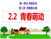 2.2+青春萌动+课件-2023-2024学年统编版道德与法治七年级下册