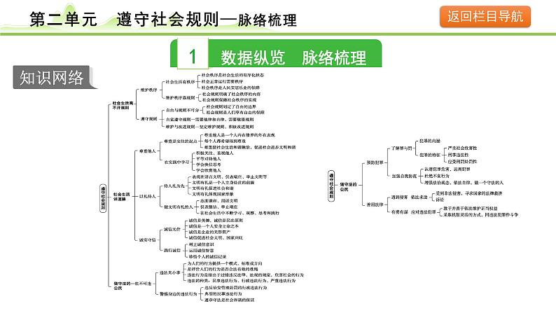 2.第二单元　遵守社会规则课件-2024年中考道德与法治一轮复习（八年级上册）第3页