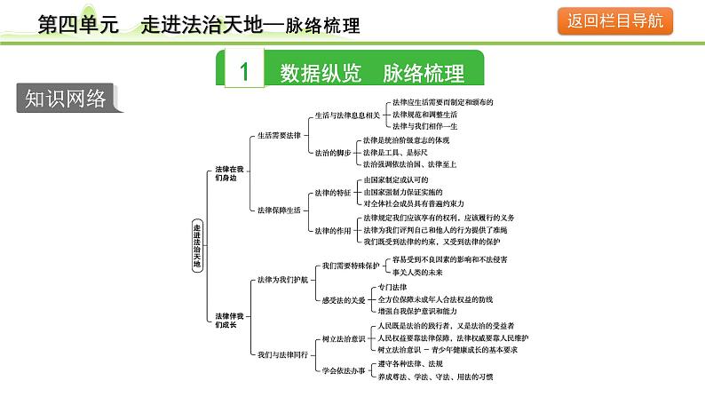 4.第四单元  走进法治天地课件-2024年中考道德与法治一轮复习（七年级下册）第3页