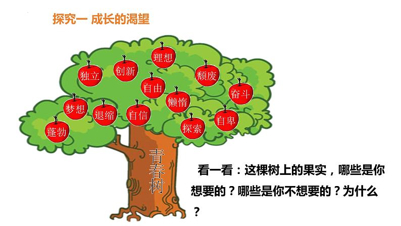 3.1+青春飞扬+课件-2023-2024学年统编版道德与法治七年级下册 (1)05