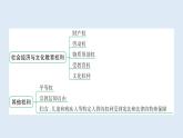 3.1+公民基本权利+课件-2023-2024学年统编版道德与法治八年级下册