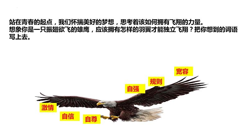 3.1+青春飞扬+课件-2023-2024学年统编版道德与法治七年级下册第7页