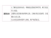 3.1+公民基本权利+课件-2023-2024学年统编版道德与法治八年级下册