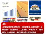 4.1+中国的机遇与挑战+课件-2023-2024学年统编版道德与法治九年级下册 (1)