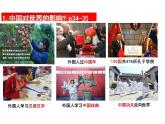3.2 与世界深度互动 课件-2023-2024学年统编版道德与法治九年级下册